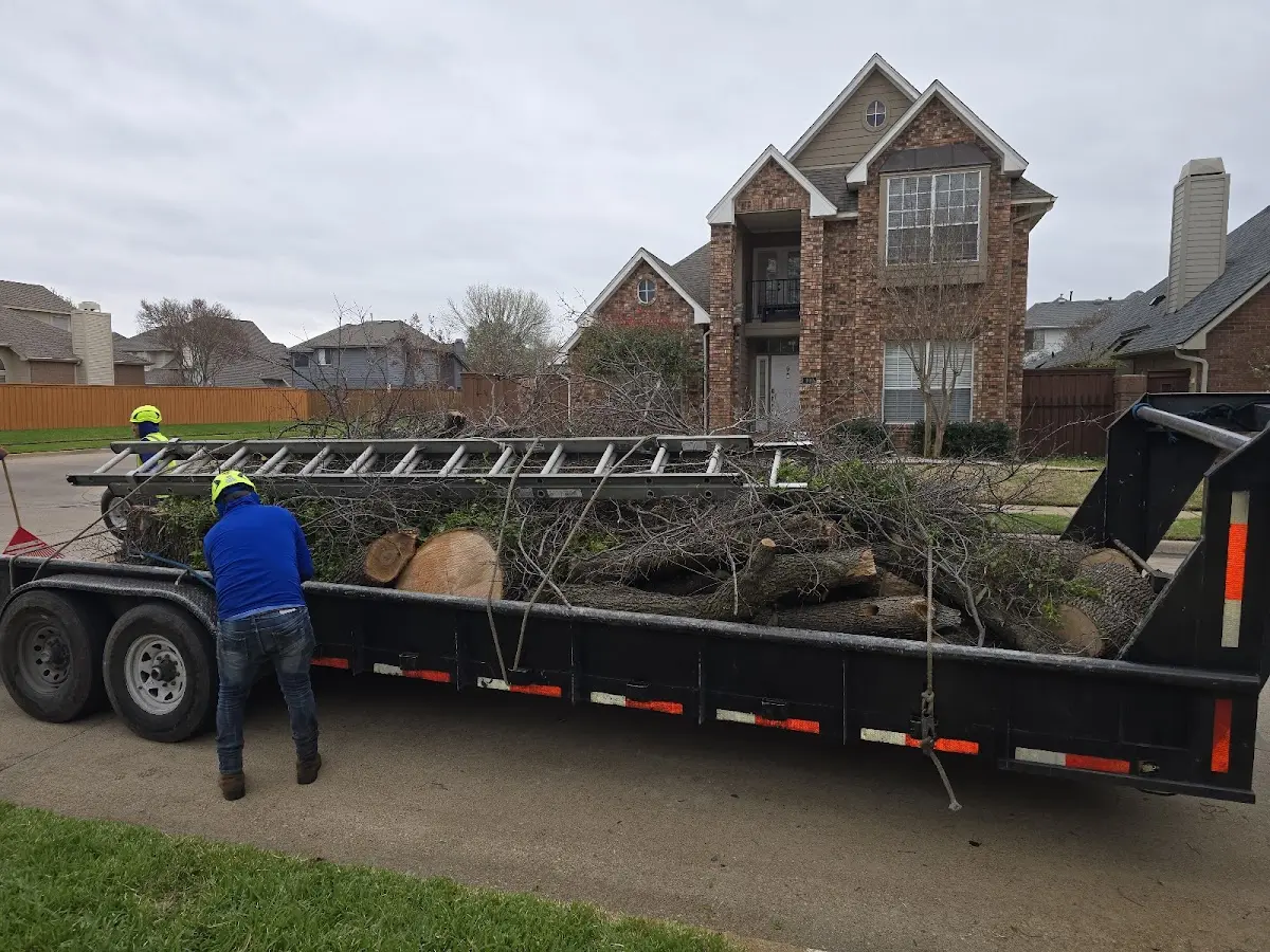 Expert Lot Clearing with proper safety equipment in Imboden